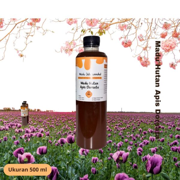 Madu Hutan Liar Apis Dorsata 500 ml